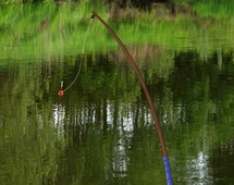 Рыбалка: трофей для охотника